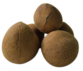 COCONUT