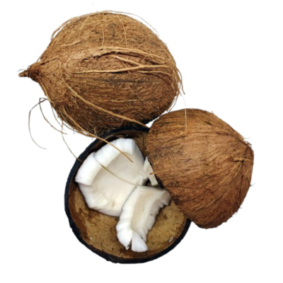 Peeled Brown Matured Coconut